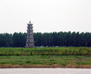 沅江明天天气